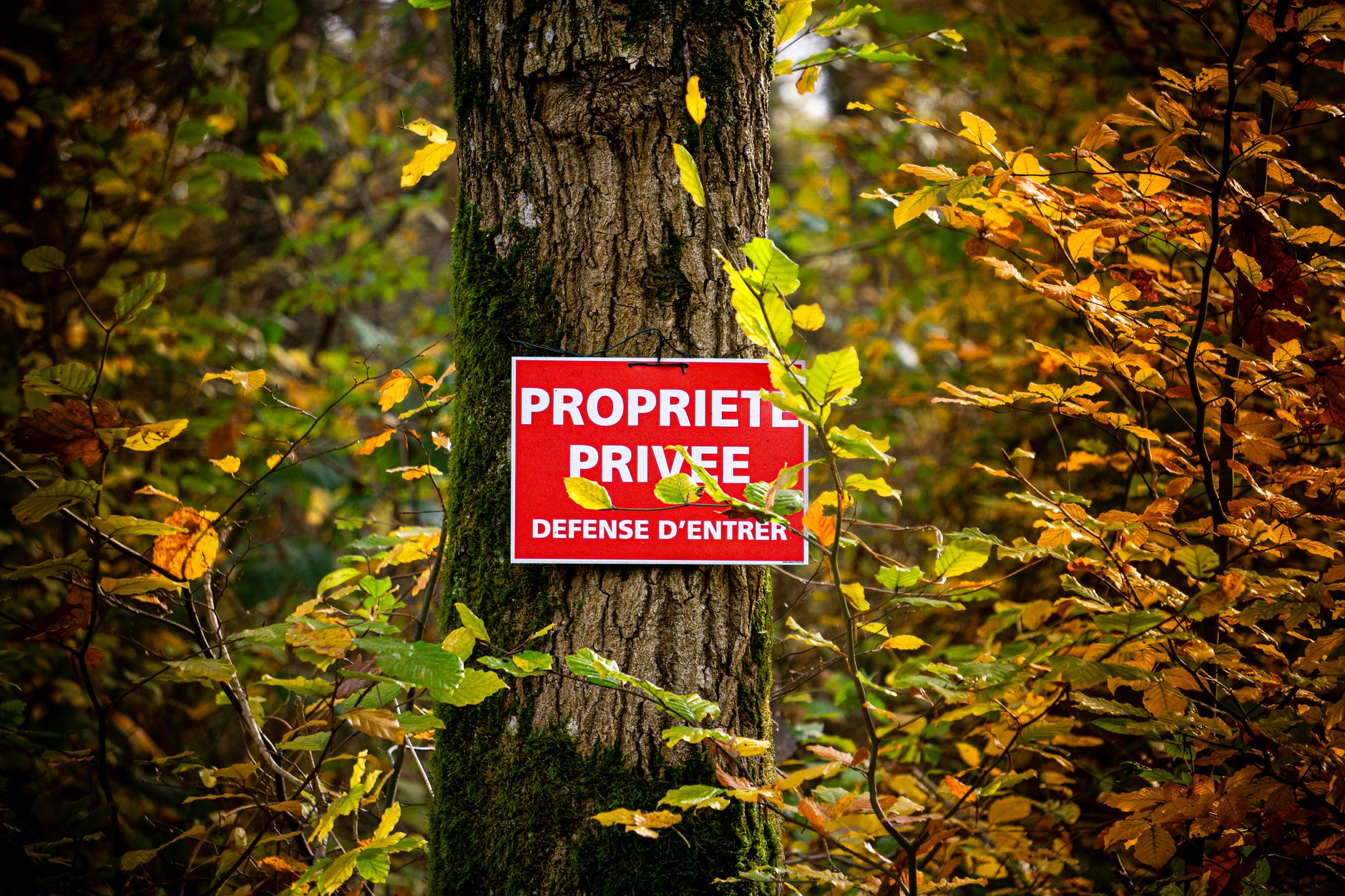 Détective privé à Saint-Laurent-du-Maroni